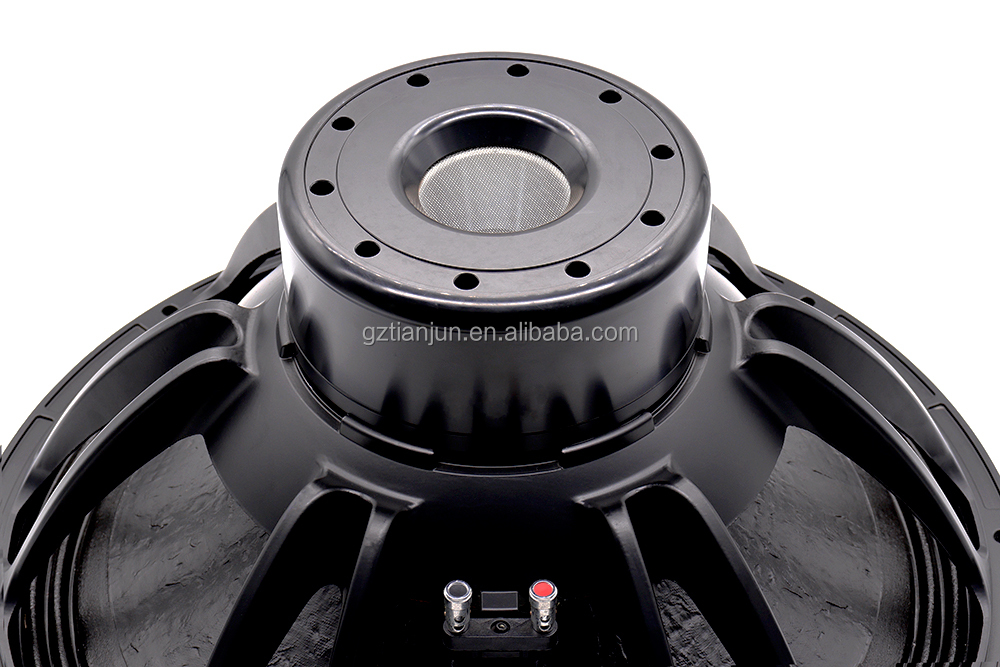 21'' Professionelles Audiosyst – Speakers Bewertung und Preis